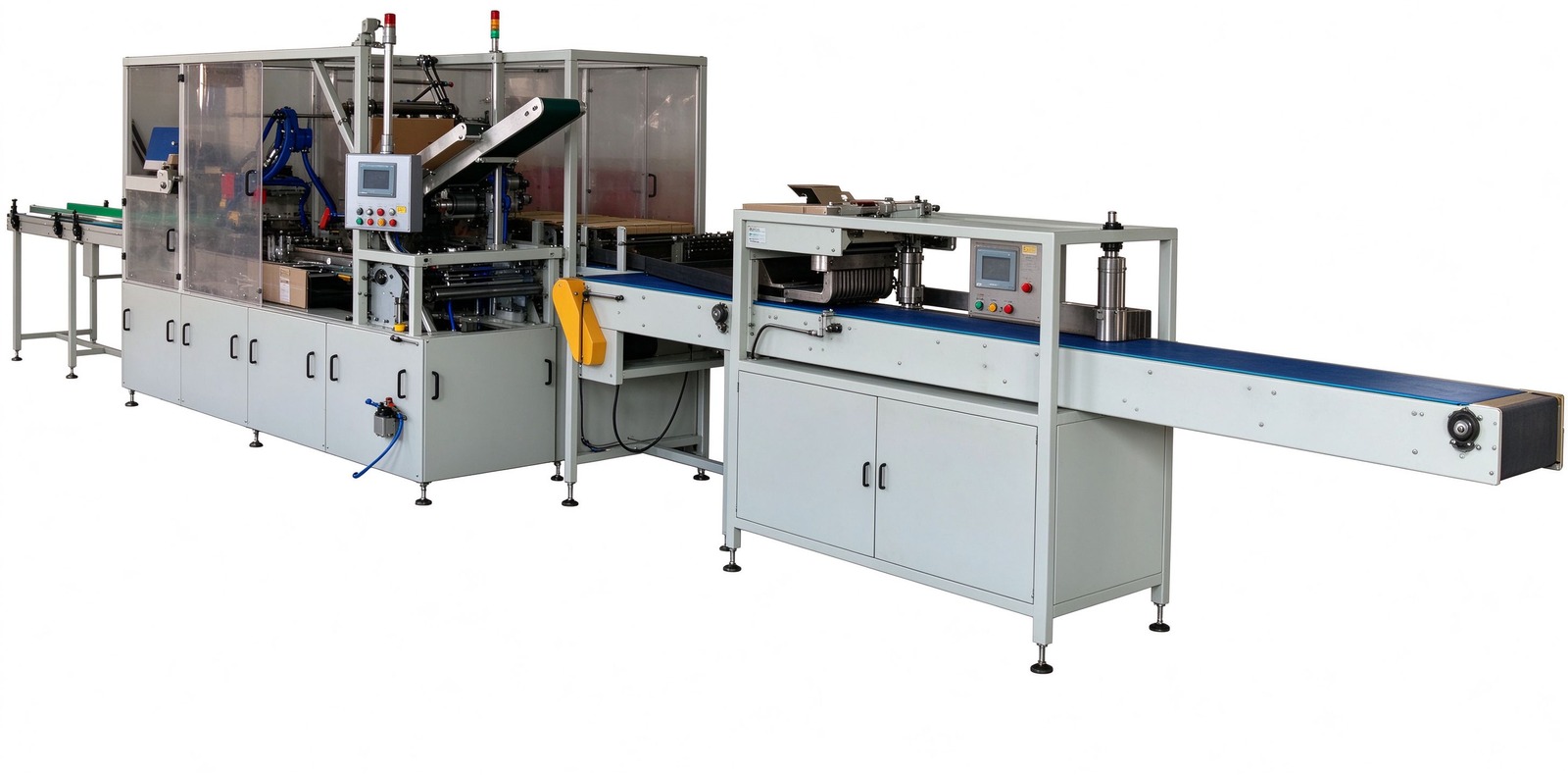 Automatic Servo Case Packer