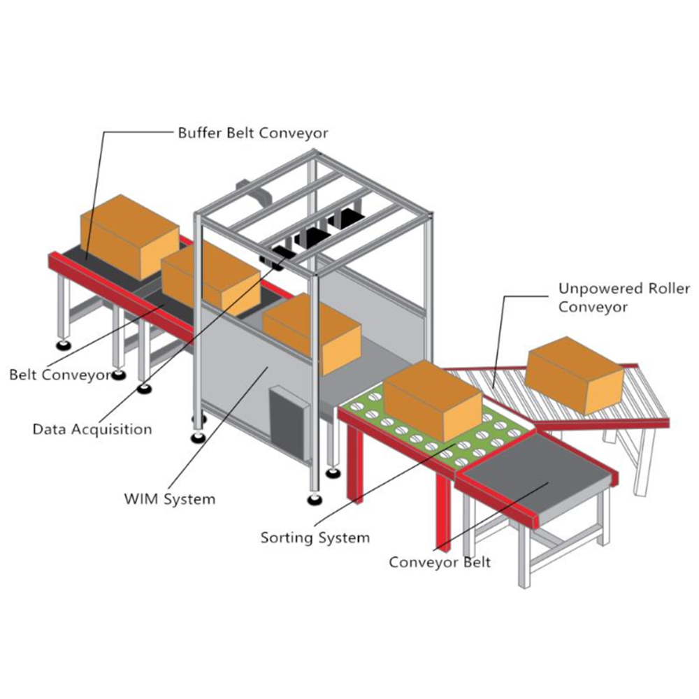 Dynamic DWS System